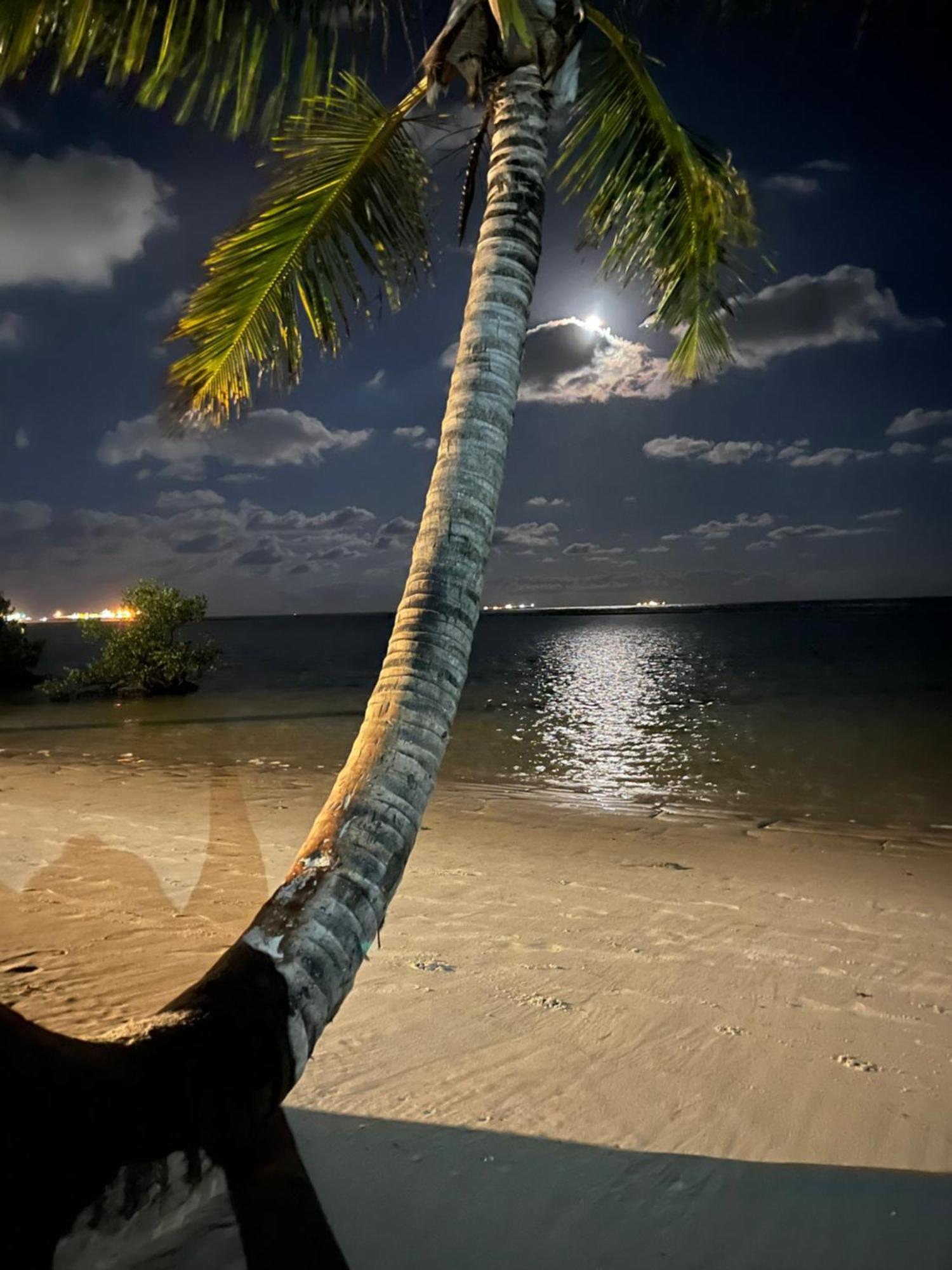 Samoa Polinesia Beach Resort Muro Alto Apto Terreo Pôrto das Galinhas Exteriér fotografie